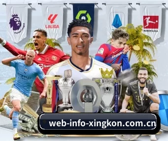 web-info-xingkon.com.cn APP | xingkong